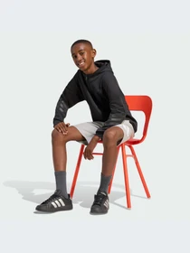 Худи и свитшоты Adidas Icons модель KS2577-KZ Фото