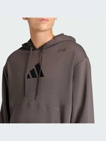 Худи и свитшоты Adidas Clima модель KB9460-KZ Фото