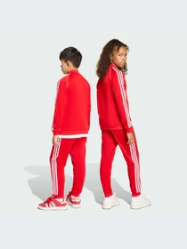 Брюки Adidas Adicolor модель KE2861-KZ Фото