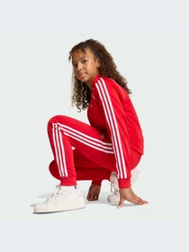 Брюки Adidas Adicolor модель KE2861-KZ Фото