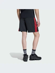 Шорты Adidas Adicolor модель KD5871-KZ Фото