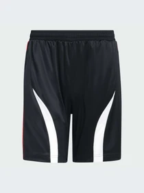 Шорты Adidas Adicolor модель KD5871-KZ Фото