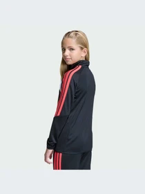 Худи и свитшоты Adidas Tiro модель JY7159-KZ Фото