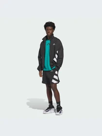 Шорты Adidas модель JZ6996-KZ Фото