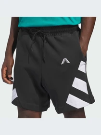 Шорты Adidas модель JZ6996-KZ Фото