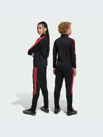 Брюки Adidas Tiro модель JY9677-KZ Фото