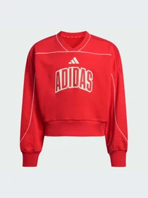 Худи и свитшоты Adidas модель KD3451-KZ Фото