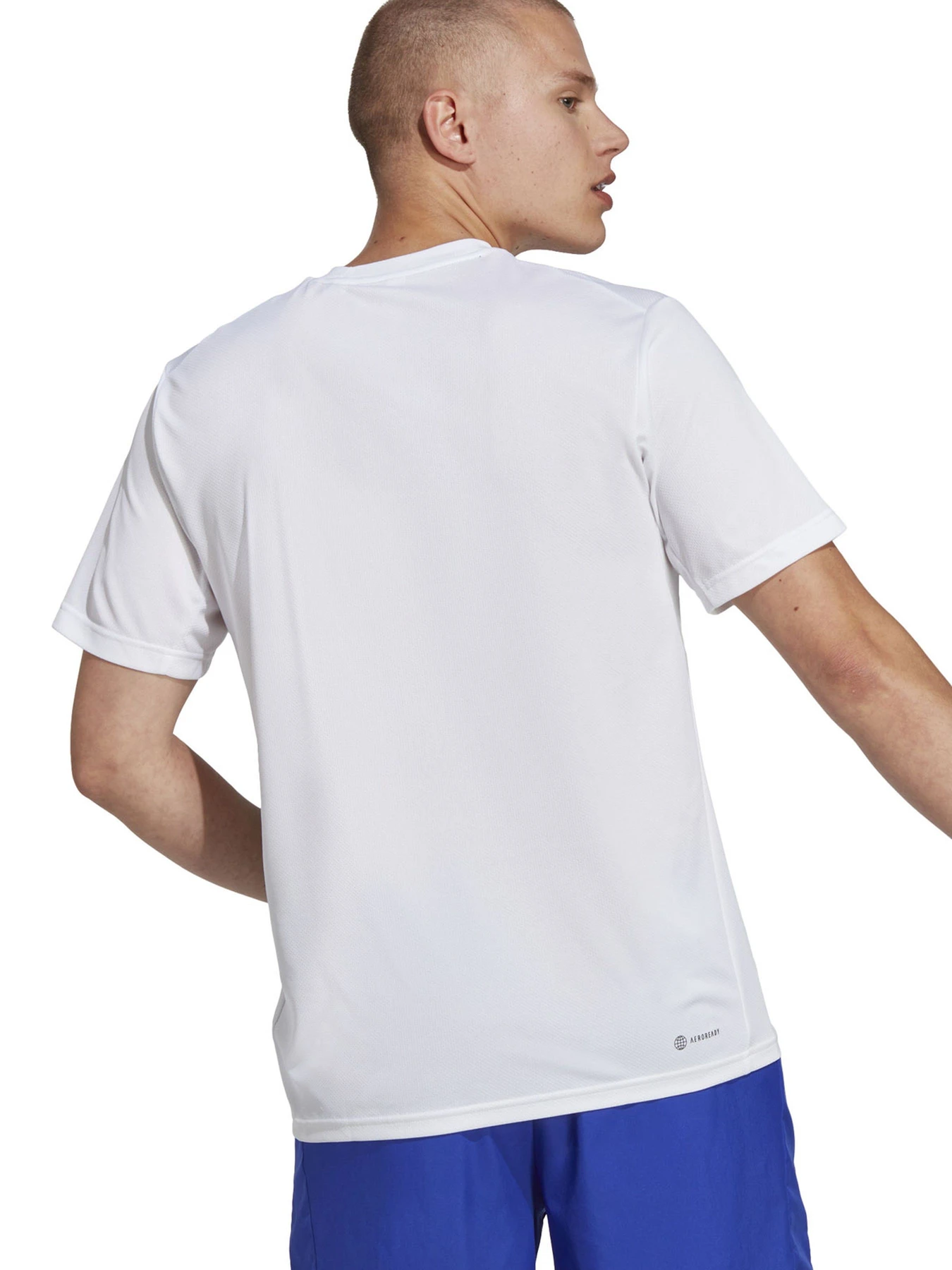 Футболки и поло Adidas TR-ES BASE T модель 101521400 Футболки и поло Adidas TR-ES BASE T модель 101521400 Фото