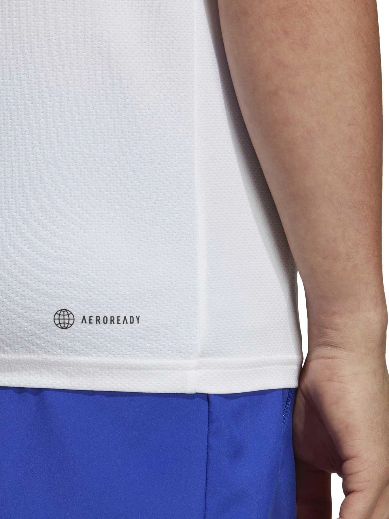 Футболки и поло Adidas TR-ES BASE T модель 101521400 Футболки и поло Adidas TR-ES BASE T модель 101521400 Фото