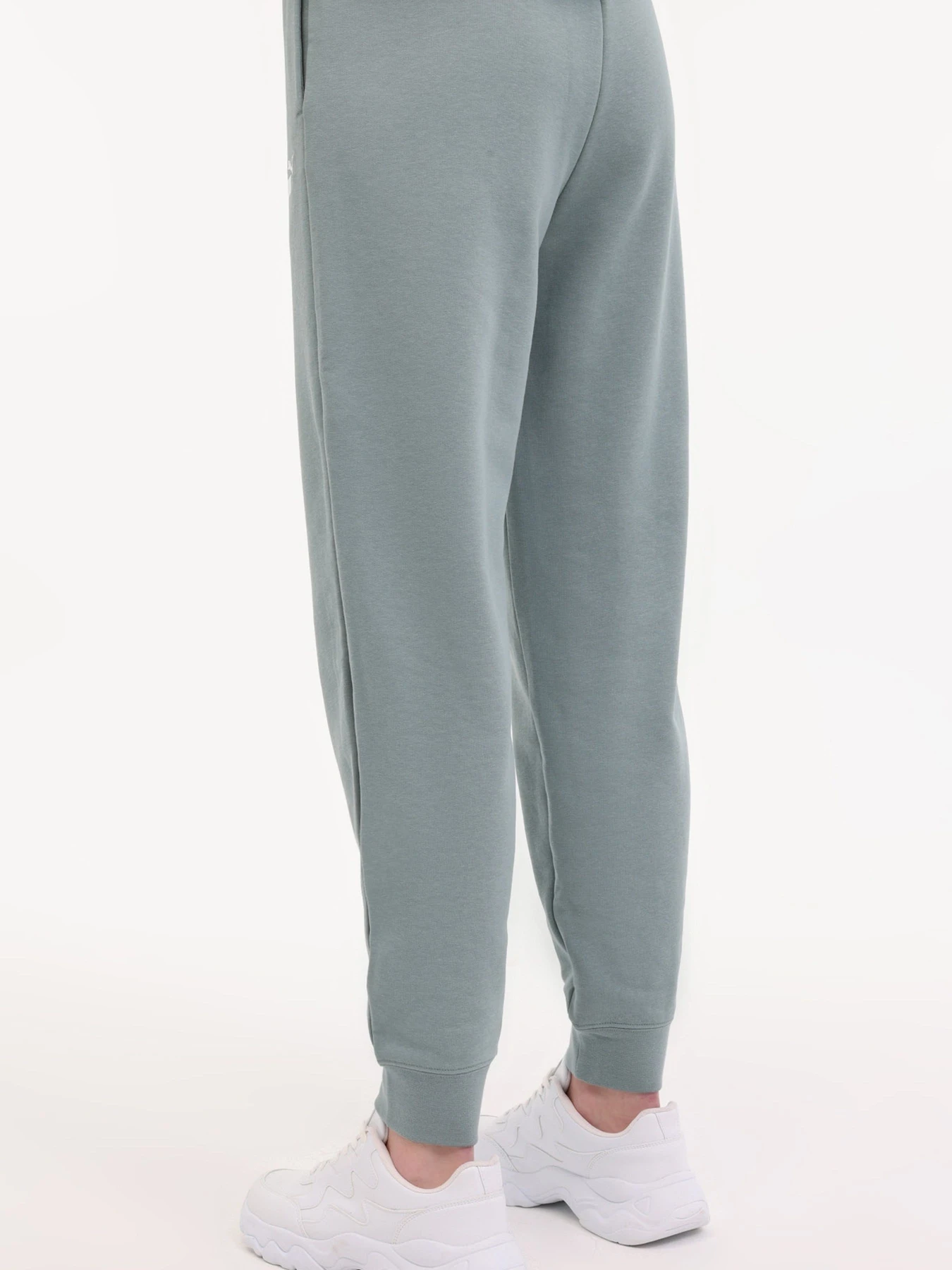 Брюки PUMA ESS Small No. 1 Logo Comf модель 102230727 Брюки PUMA ESS Small No. 1 Logo Comf модель 102230727 Фото