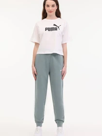 Брюки PUMA ESS Small No. 1 Logo Comf модель 102230727 Фото