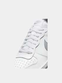 Кроссовки NIKE Nike Big Low модель 102237061 Фото