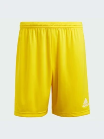 Шорты Adidas модель IC7404-KZ Фото