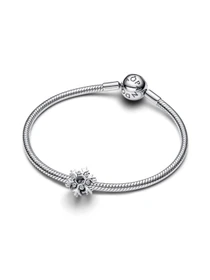 Классические PANDORA Moments модель 794249C01 Фото