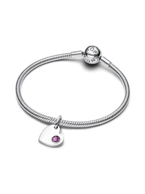 Шармы-подвески PANDORA Moments модель 794295C02 Фото