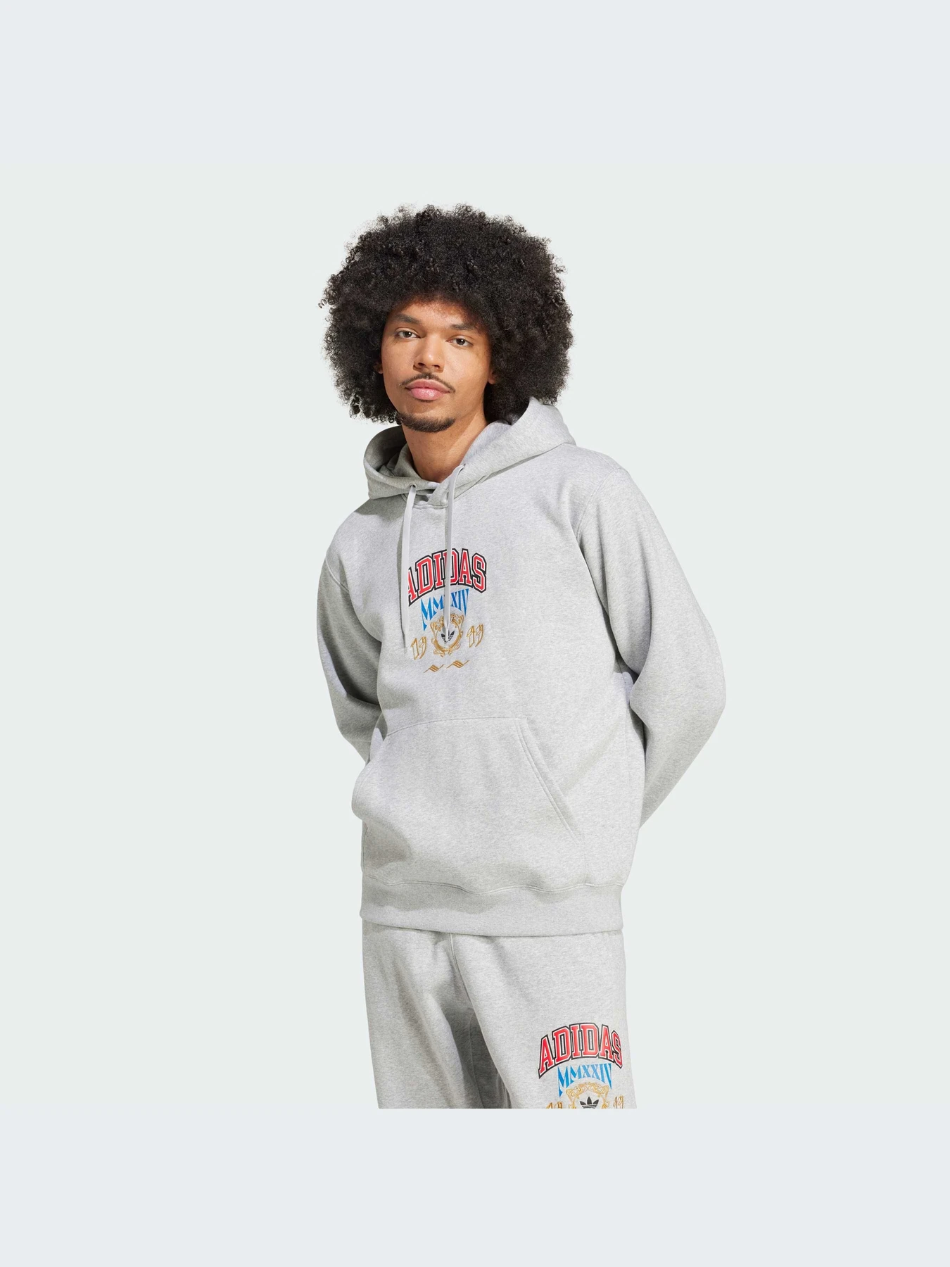 Худи и свитшоты Adidas Graphics модель IX6770-KZ Худи и свитшоты Adidas Graphics модель IX6770-KZ Фото