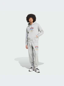 Худи и свитшоты Adidas Graphics модель IX6770-KZ Фото