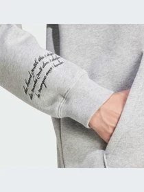 Худи и свитшоты Adidas Graphics модель IX6770-KZ Фото