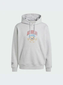 Худи и свитшоты Adidas Graphics модель IX6770-KZ Фото