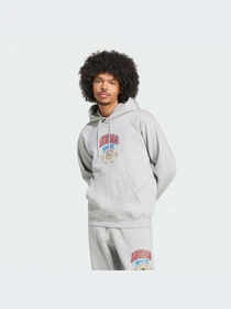 Худи и свитшоты Adidas Graphics модель IX6770-KZ Фото