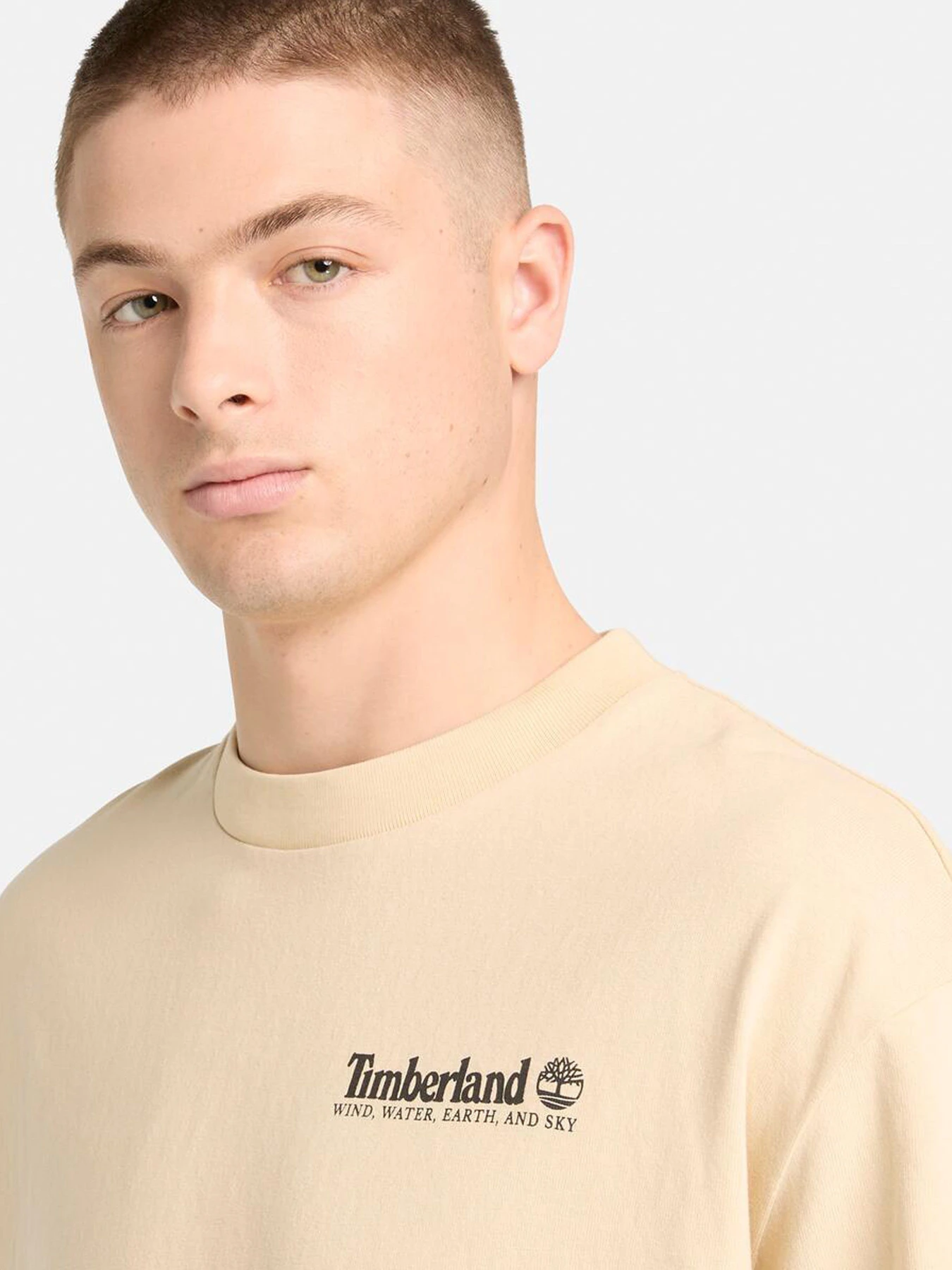 Футболки и поло Timberland модель TB0A5MQR260 Футболки и поло Timberland модель TB0A5MQR260 Фото