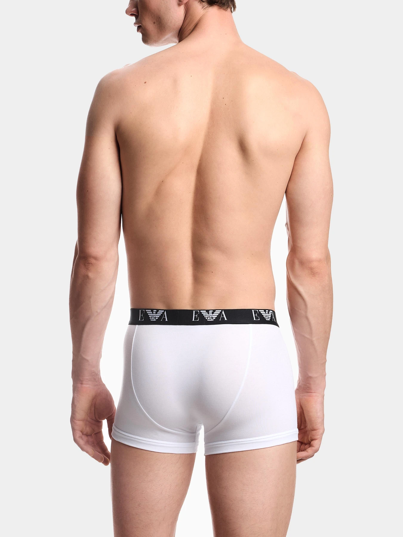 Нижнее белье Emporio Armani модель EM000259-AF14131-M0066 Нижнее белье Emporio Armani модель EM000259-AF14131-M0066 Фото