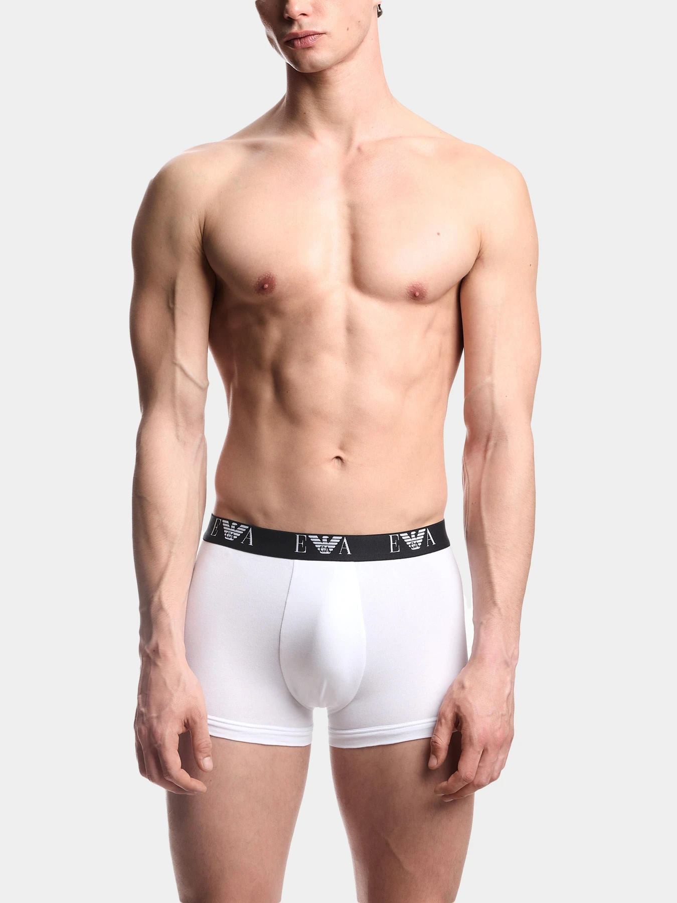 Нижнее белье Emporio Armani модель EM000259-AF14131-M0066 Нижнее белье Emporio Armani модель EM000259-AF14131-M0066 Фото