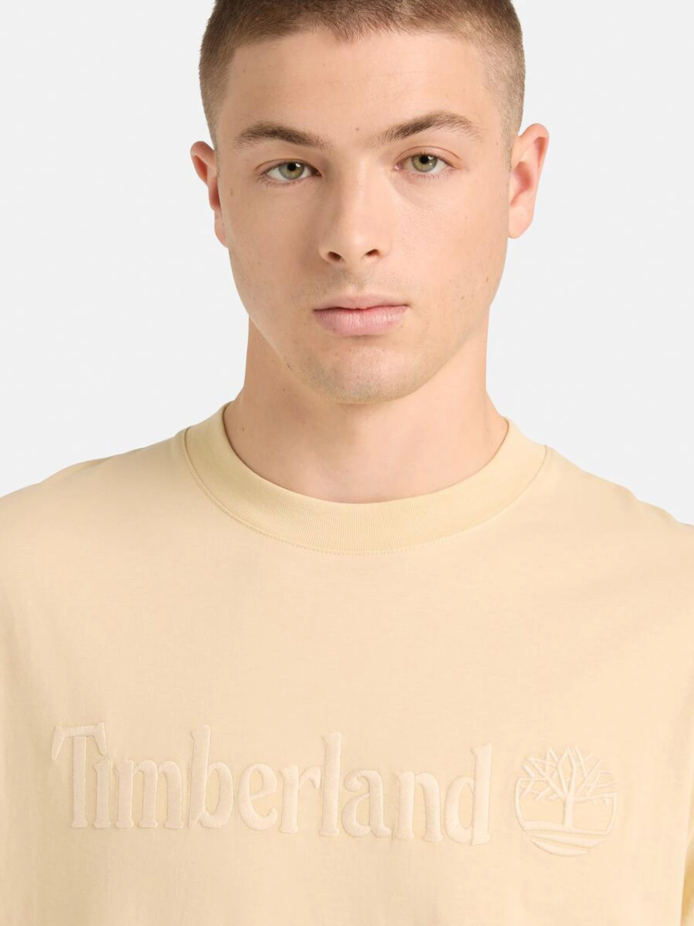 Футболки и поло Timberland модель TB0A6VPE260 Футболки и поло Timberland модель TB0A6VPE260 Фото