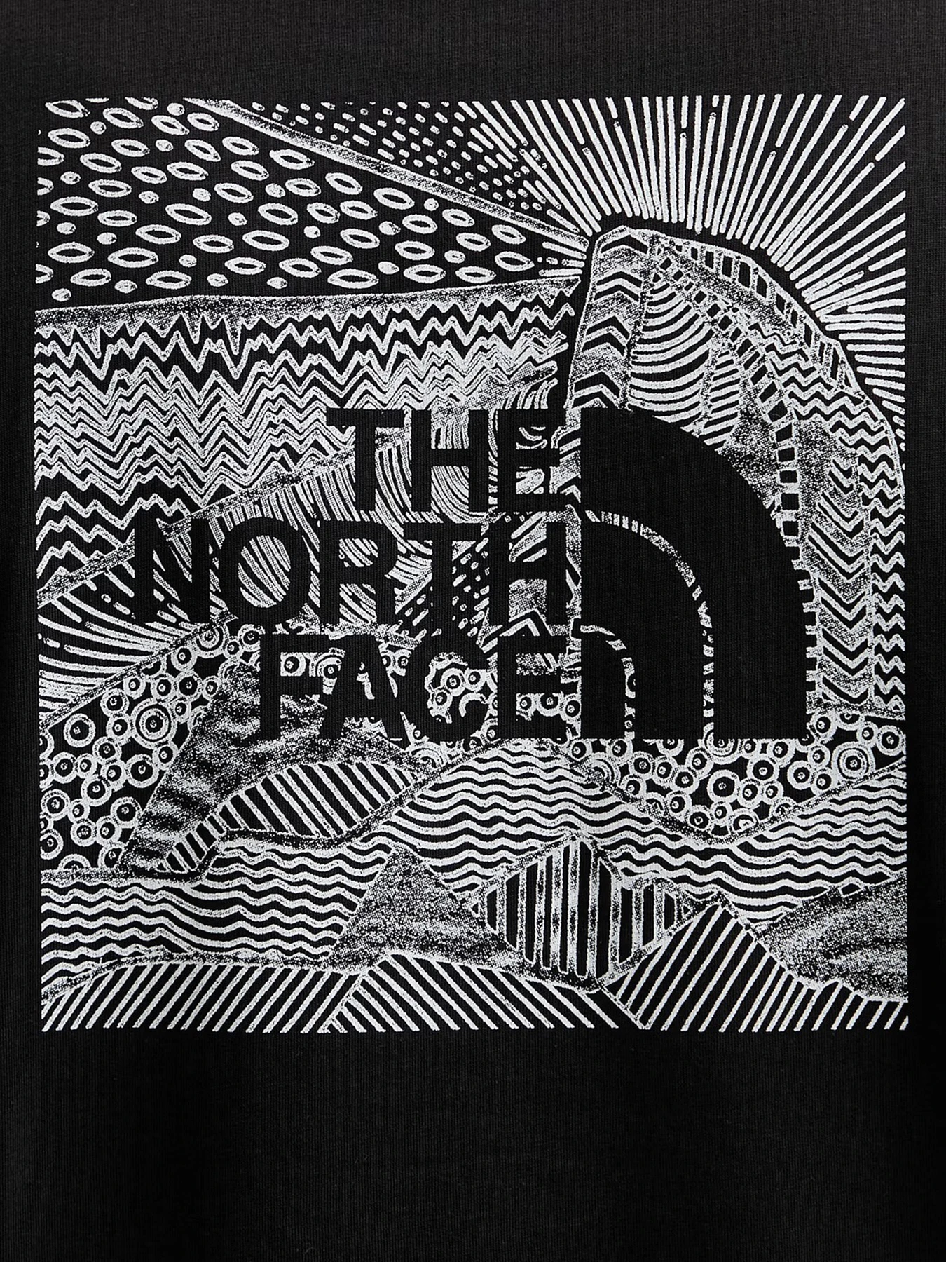 Футболки и поло The North Face модель NF0A8GV2JK31 Футболки и поло The North Face модель NF0A8GV2JK31 Фото