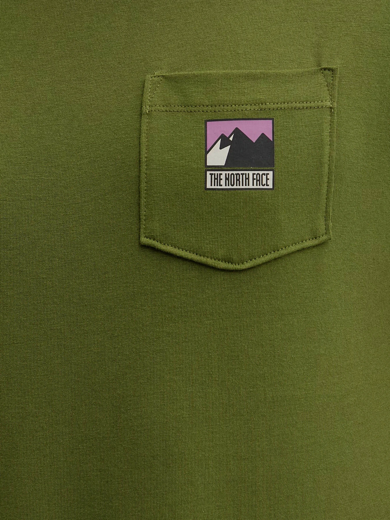 Футболки и поло The North Face модель NF0A8GUUBRI1 Футболки и поло The North Face модель NF0A8GUUBRI1 Фото