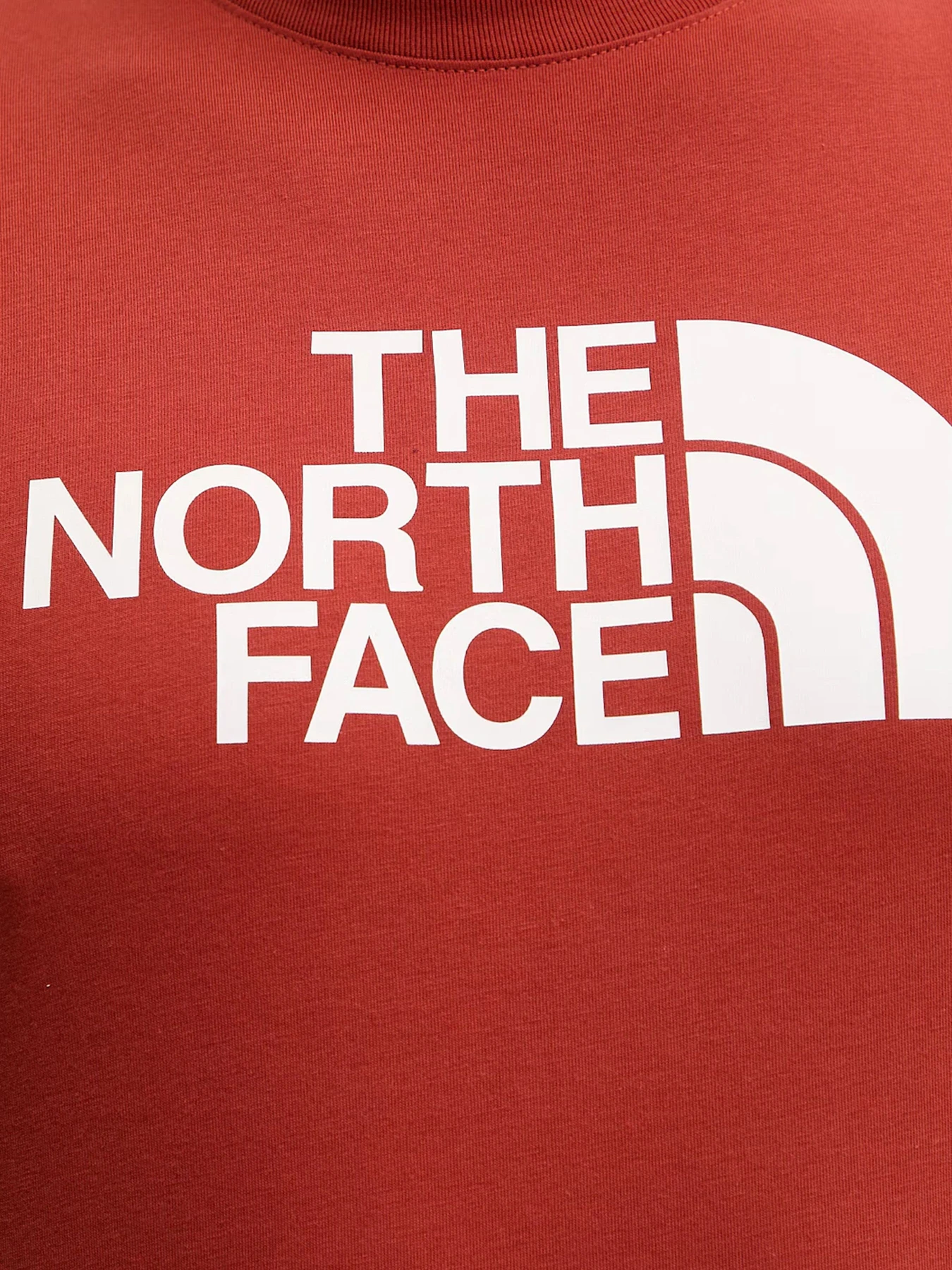 Футболки и поло The North Face модель NF0A8B6JG6I1 Футболки и поло The North Face модель NF0A8B6JG6I1 Фото