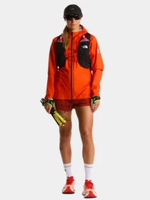 Шорты The North Face модель NF0A8BB6G6I1 Фото