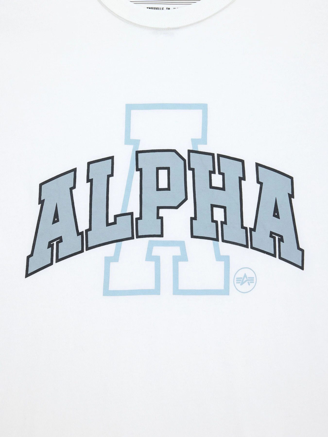 Футболки и поло Alpha Industries модель UTO56009PK_100 Футболки и поло Alpha Industries модель UTO56009PK_100 Фото