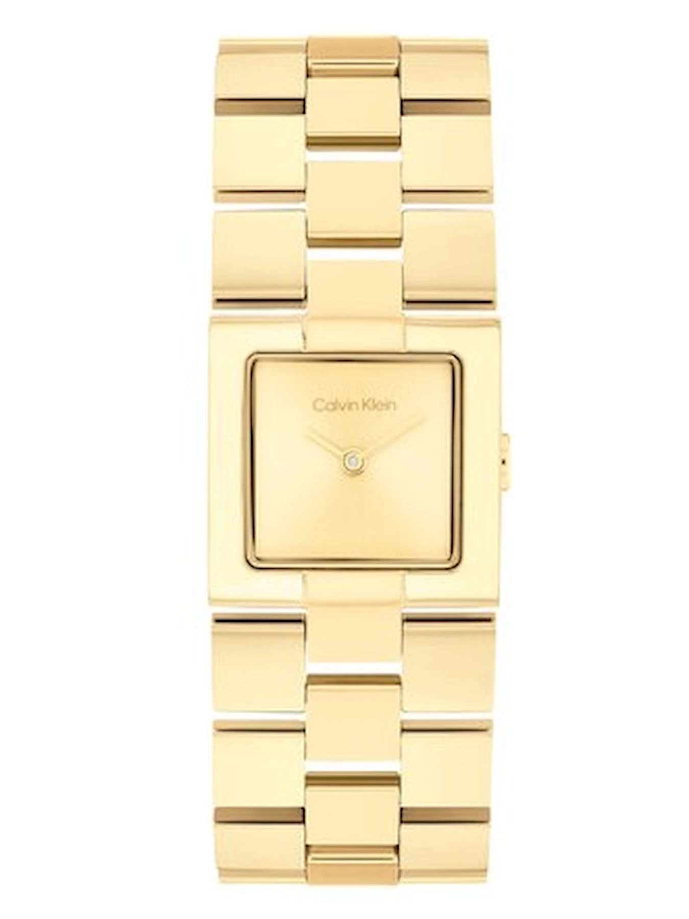 Часы Calvin Klein модель 25100089 Часы Calvin Klein модель 25100089 Фото