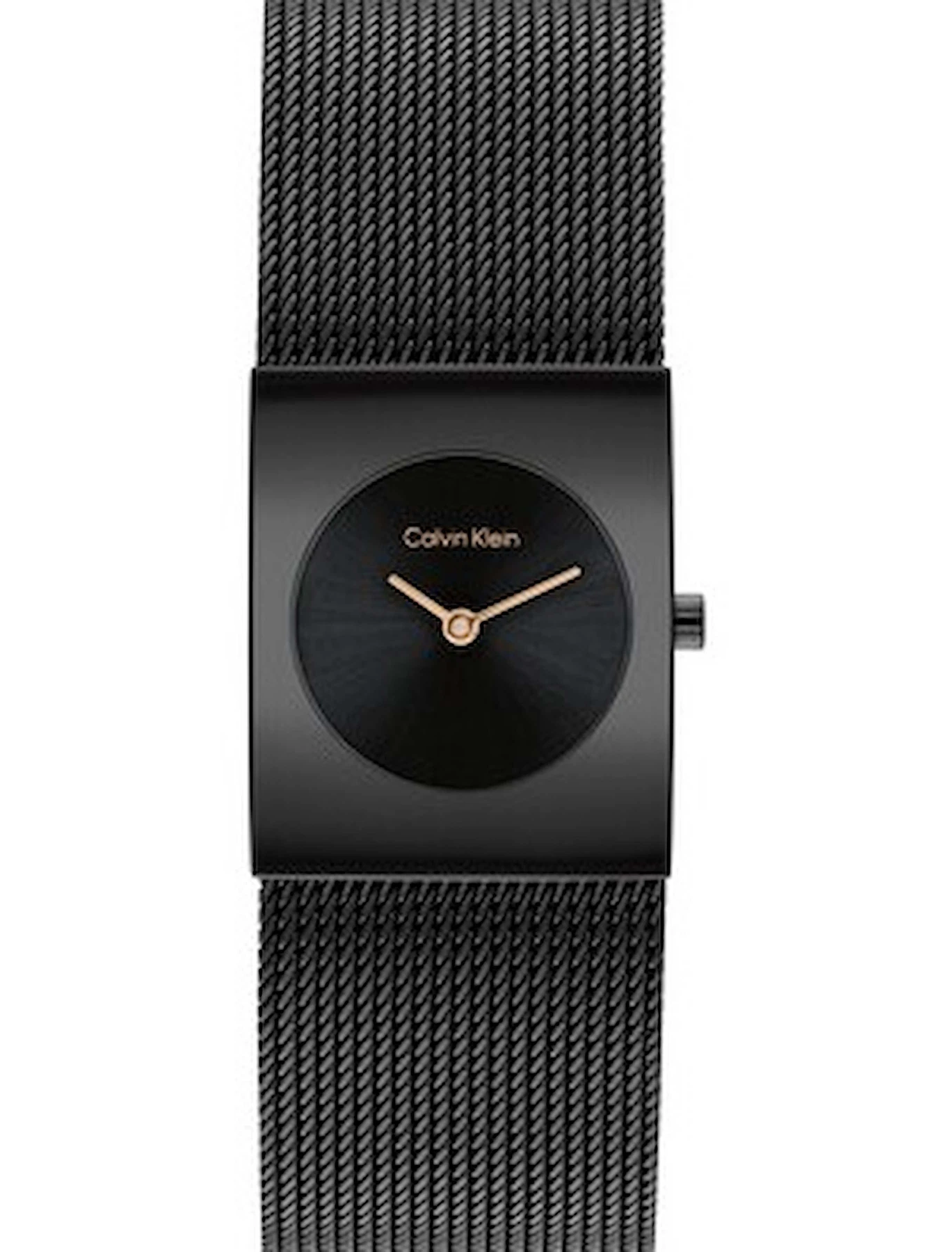 Часы Calvin Klein модель 25100138 Часы Calvin Klein модель 25100138 Фото