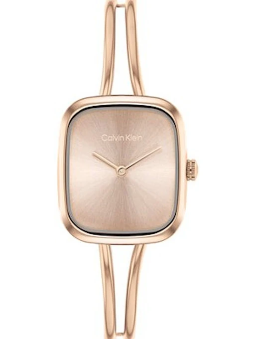 Часы Calvin Klein модель 25100133 Фото