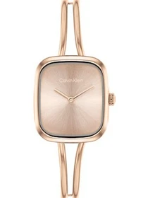 Часы Calvin Klein модель 25100133 Фото