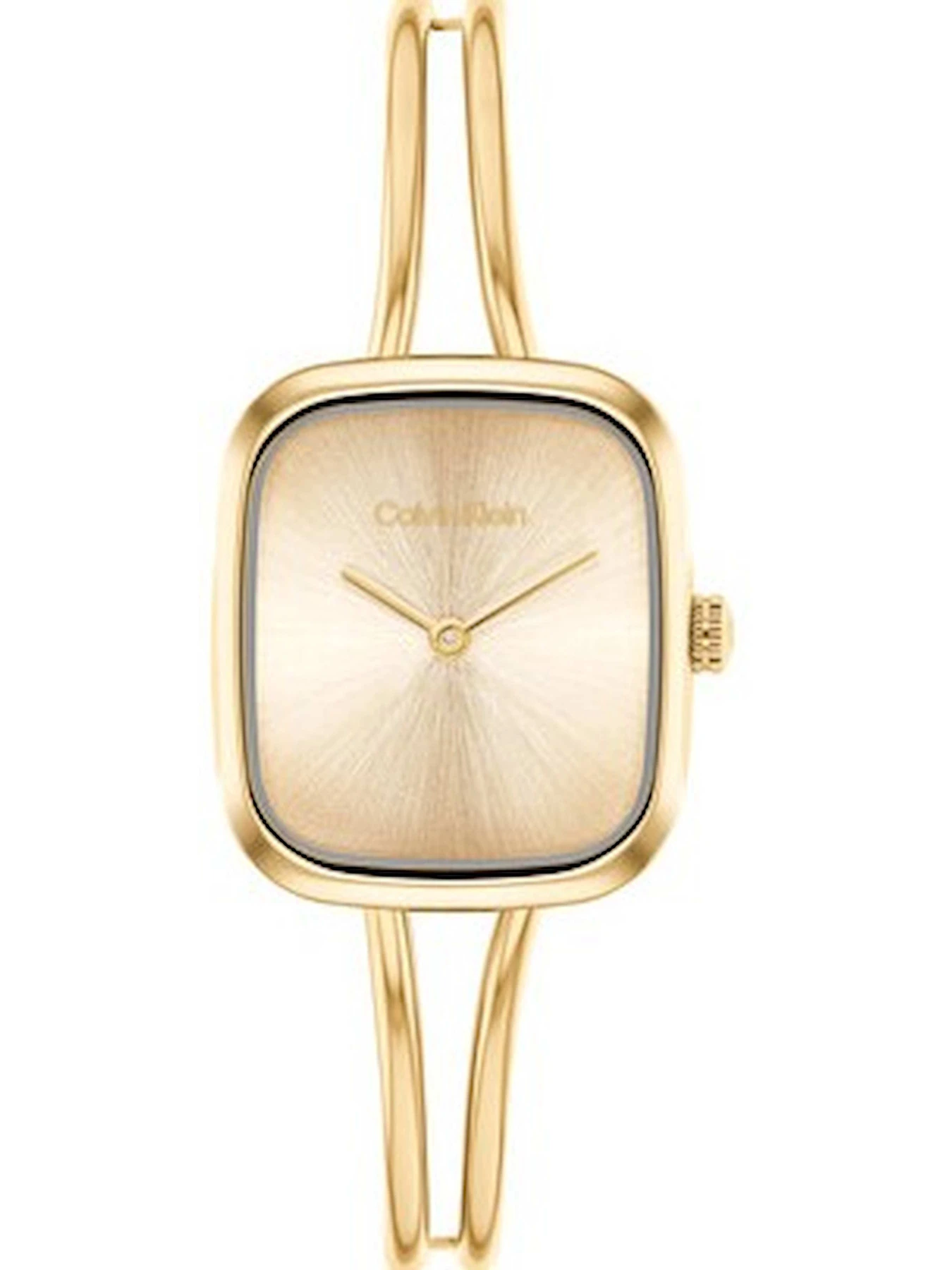 Часы Calvin Klein модель 25100132 Часы Calvin Klein модель 25100132 Фото
