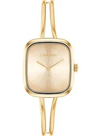 Часы Calvin Klein модель 25100132 Фото