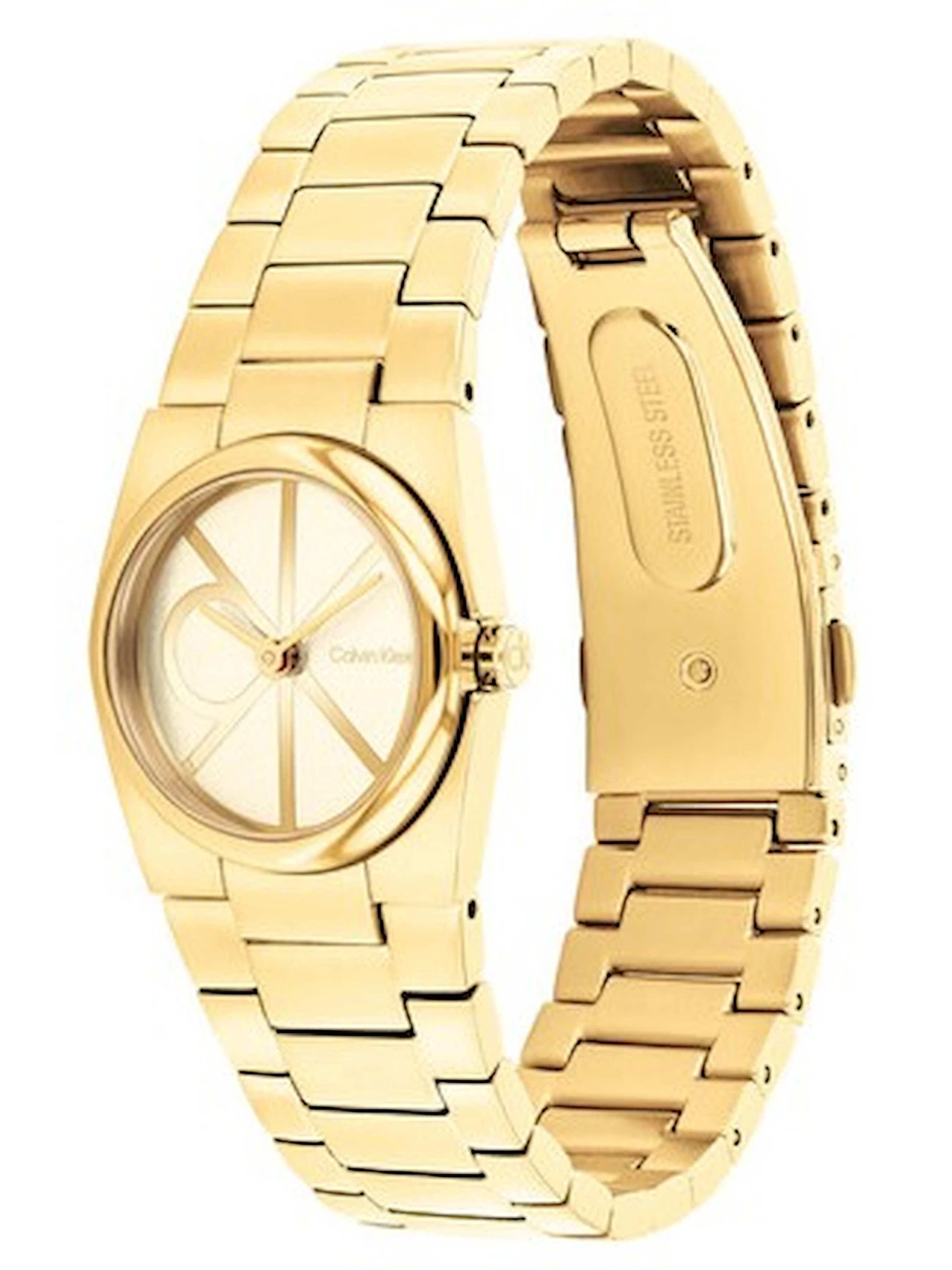 Часы Calvin Klein модель 25100127 Часы Calvin Klein модель 25100127 Фото
