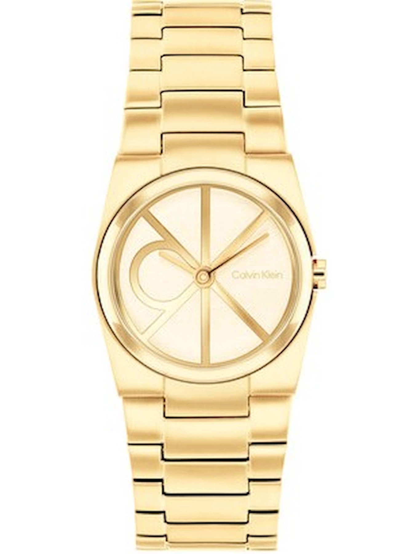 Часы Calvin Klein модель 25100127 Часы Calvin Klein модель 25100127 Фото