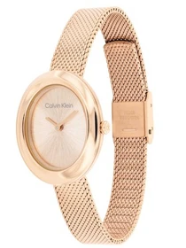 Часы Calvin Klein модель 25100153 Фото
