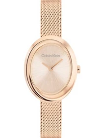 Часы Calvin Klein модель 25100153 Фото