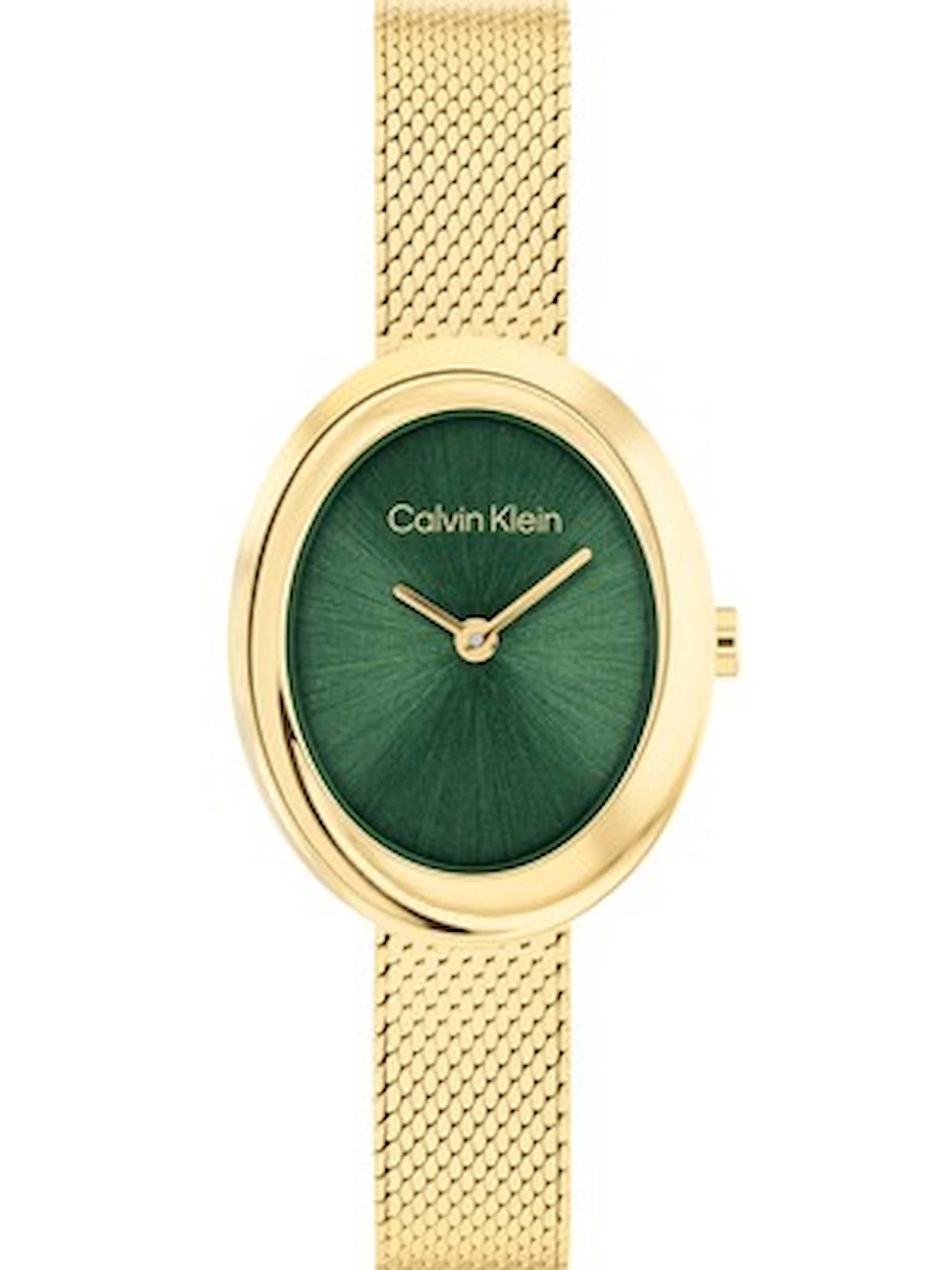 Часы Calvin Klein модель 25100152 Часы Calvin Klein модель 25100152 Фото