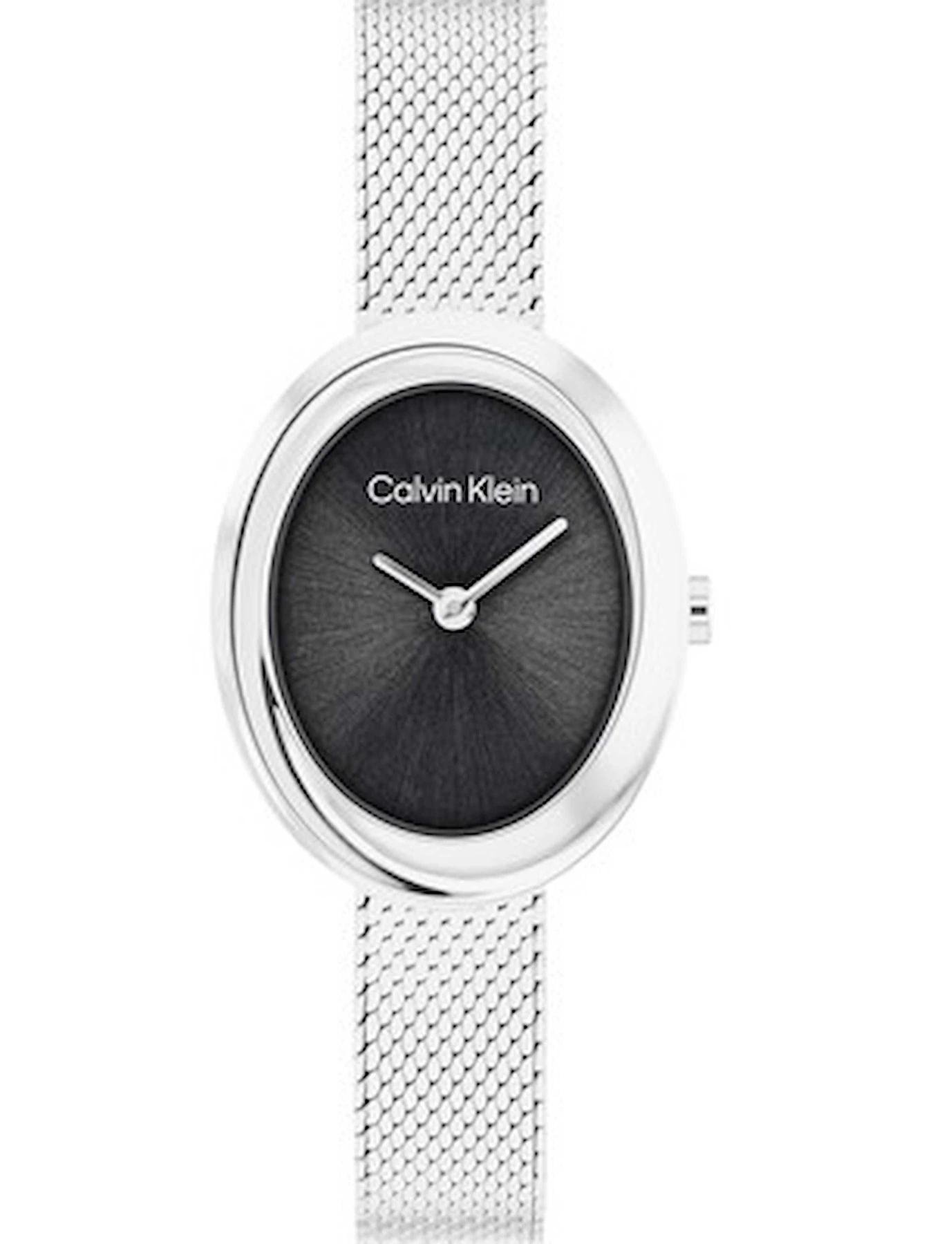 Часы Calvin Klein модель 25100151 Часы Calvin Klein модель 25100151 Фото