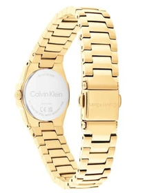 Часы Calvin Klein модель 25100142 Фото