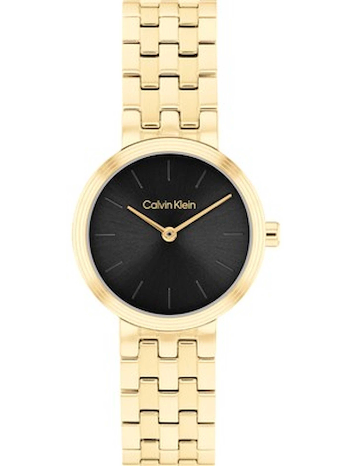 Часы Calvin Klein модель 25100187 Часы Calvin Klein модель 25100187 Фото