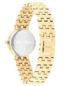 Часы Calvin Klein модель 25100187 Фото