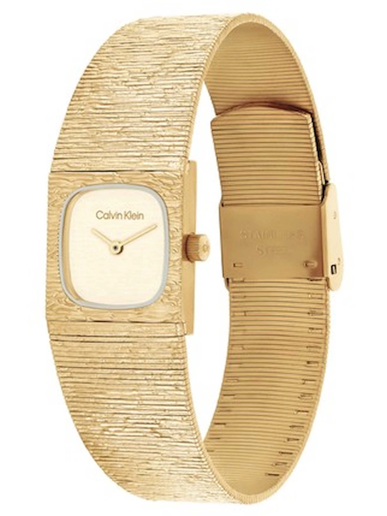 Часы Calvin Klein модель 25100178 Часы Calvin Klein модель 25100178 Фото