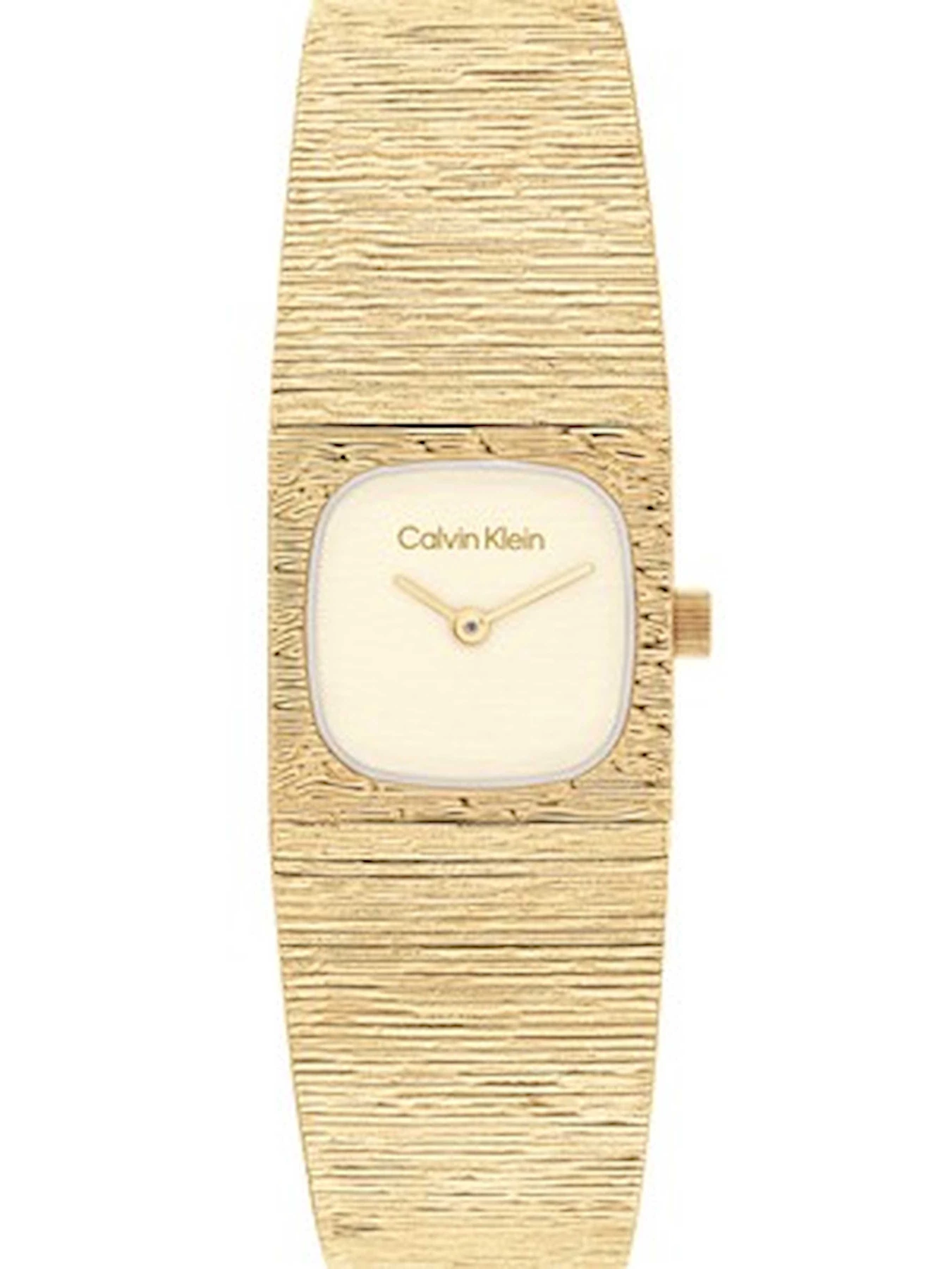 Часы Calvin Klein модель 25100178 Часы Calvin Klein модель 25100178 Фото